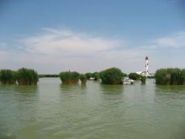 Sand Lake Scence